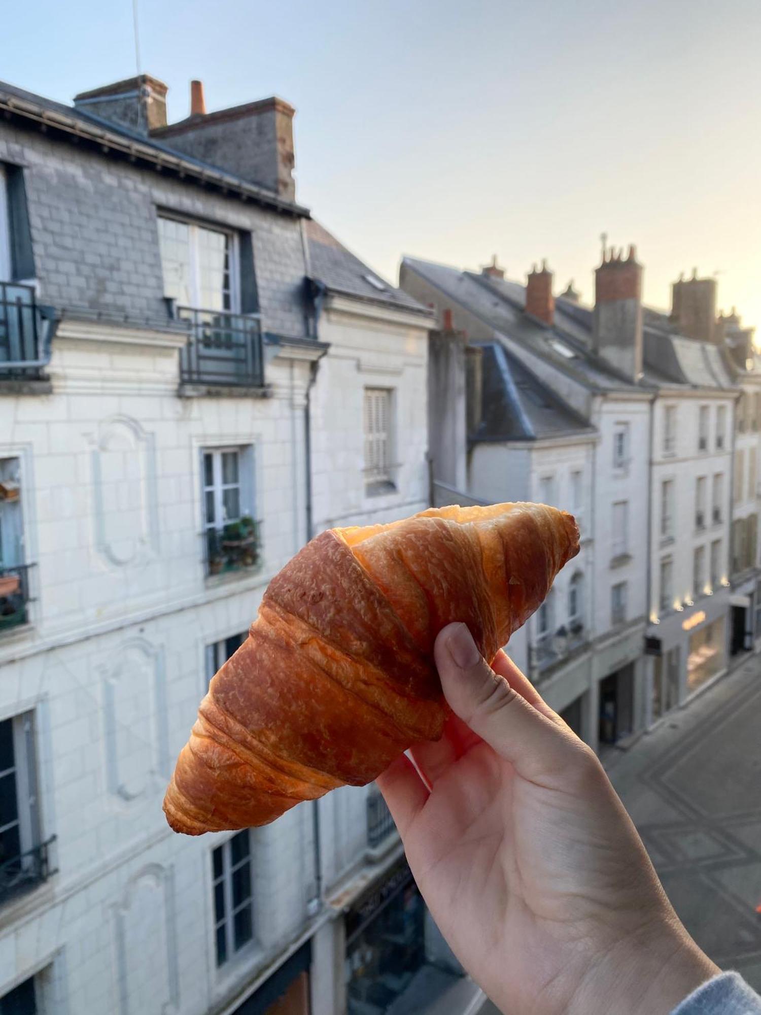 Magnifique Au Pied Du Chateau Blois