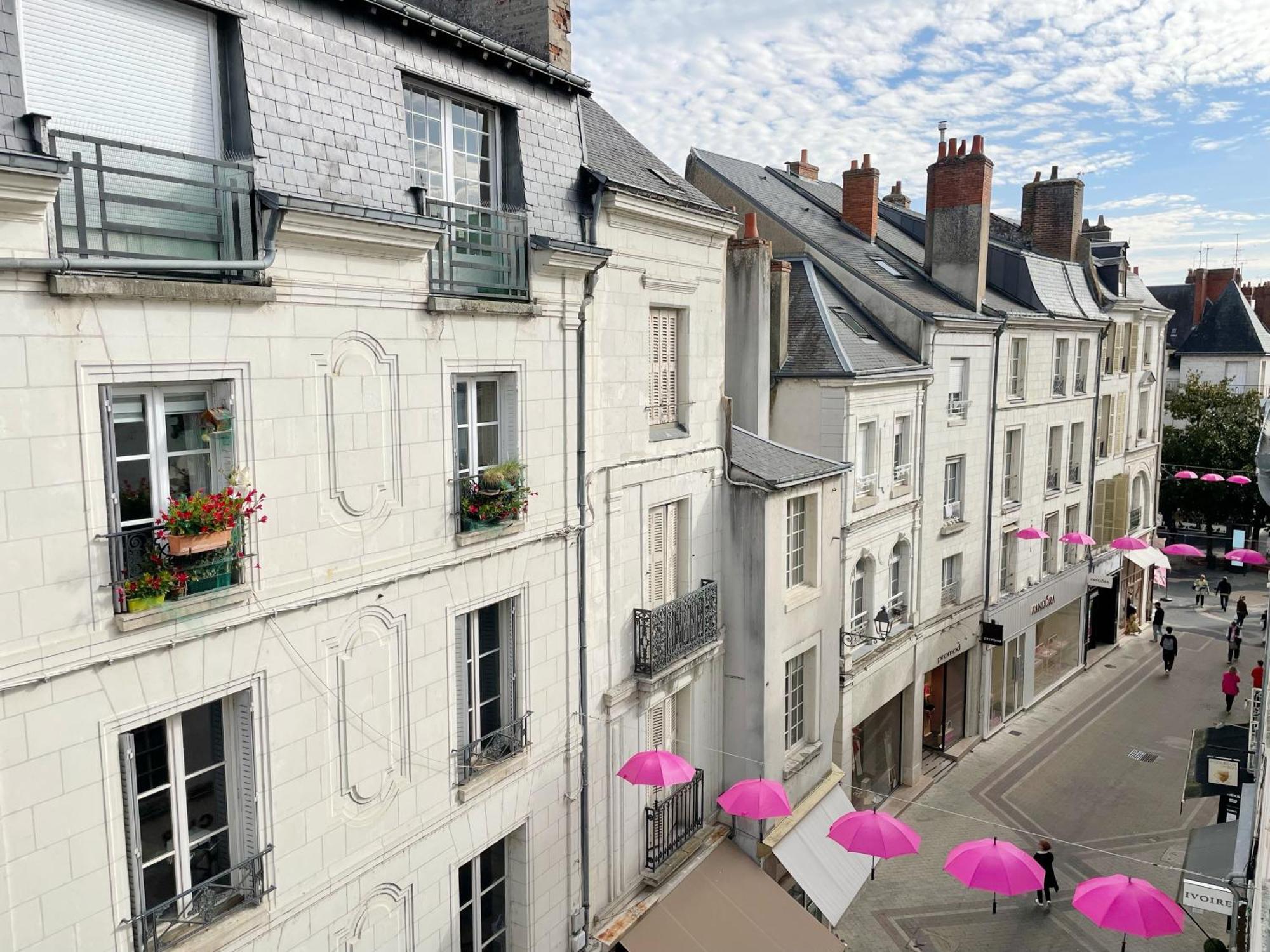 Magnifique Au Pied Du Chateau * Blois